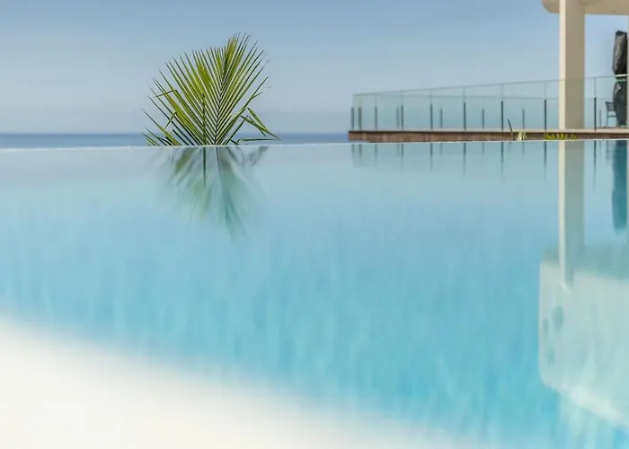 Althea By Ymr 칼례타